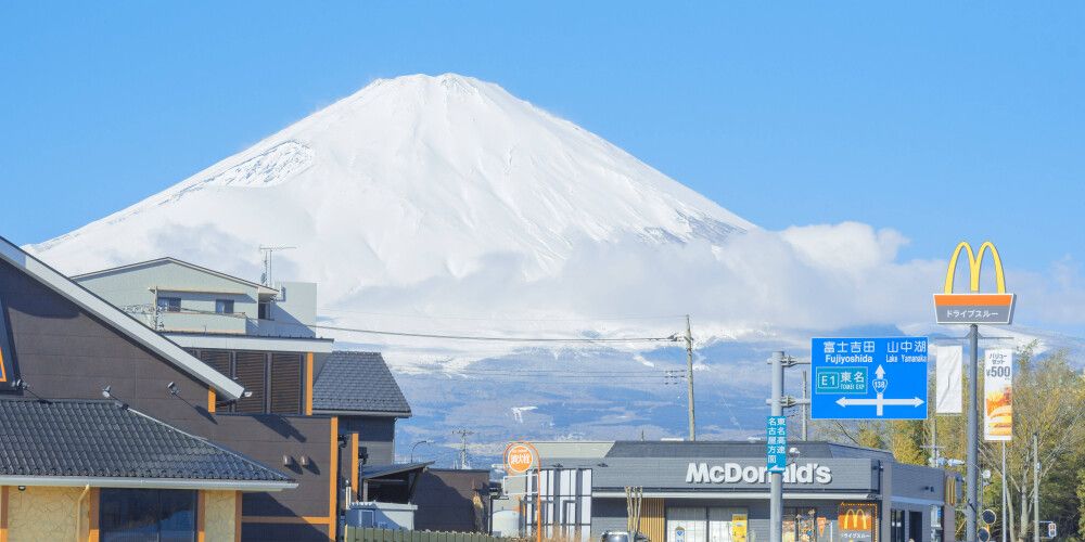 把桌面 AI 软件变成本地 API:手把手反代教程